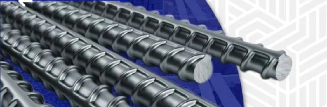 SBF Rapid Cover Image