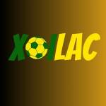 bssfteam giả mạo Profile Picture