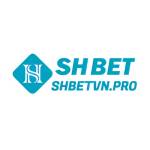 SHBET Profile Picture