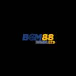 BOM 88 Profile Picture