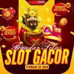 Alexi stogel Profile Picture