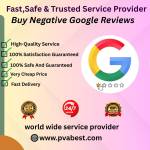 pvabest 2025 Profile Picture