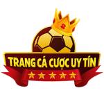 trangcacuocuytinonline Profile Picture