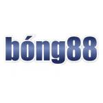 bong88o com Profile Picture