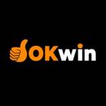 OKWIN Profile Picture