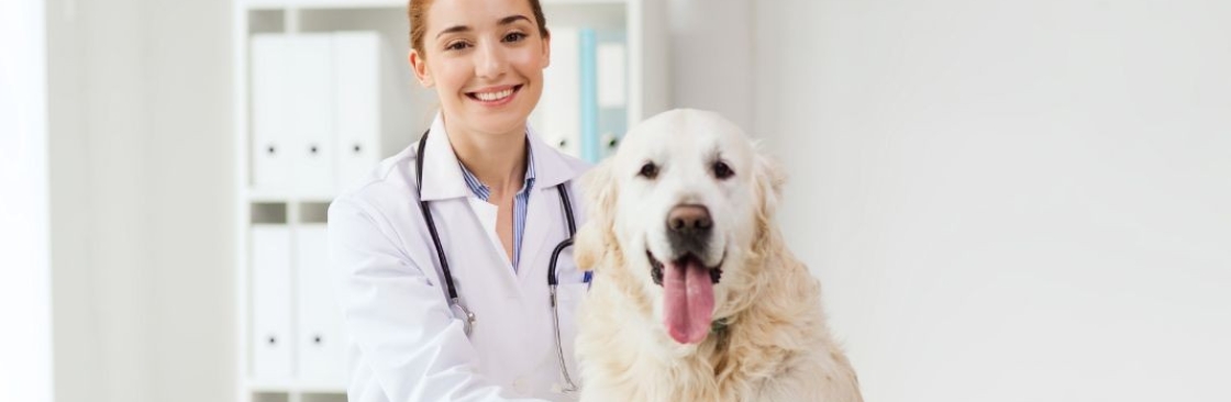 Town and Country Animal Hospital Cover Image
