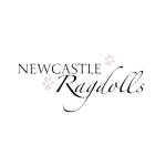 Newcastle   Ragdolls  Profile Picture