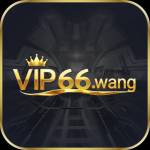 vip66 wang Profile Picture