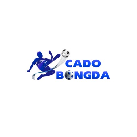 Cá Độ Bóng Đá Profile Picture