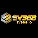 SV368 Profile Picture