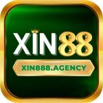 xin88 Profile Picture
