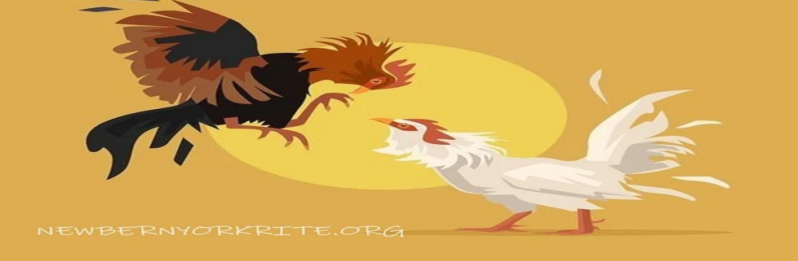 thomohomnay TRỰC TIẾP ĐÁ GÀ THOMO Cover Image