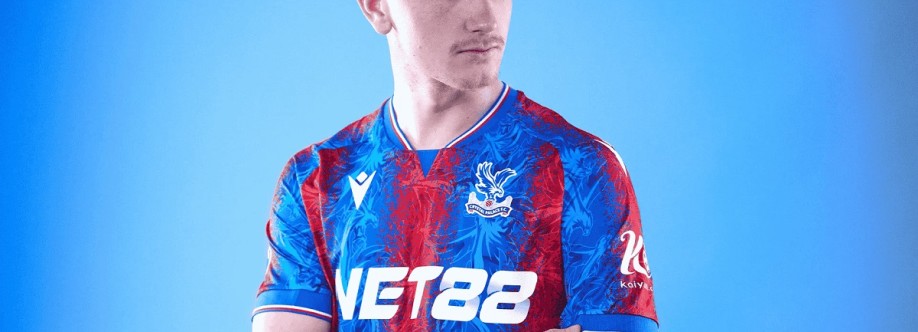 Net88 Cover Image