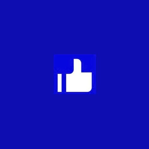 Like net Profile Picture