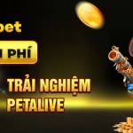 ai88bet bar Profile Picture