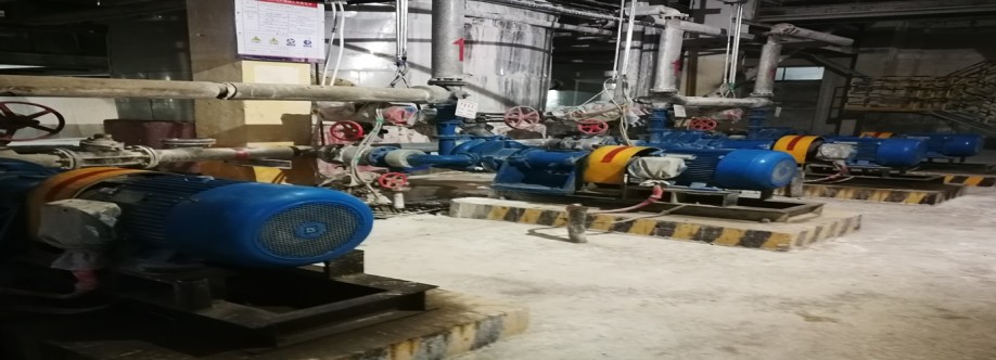 CNSME PUMP Cover Image