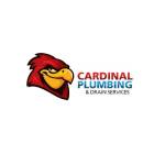 Cardinal Plumbing and Drain Services Profile Picture