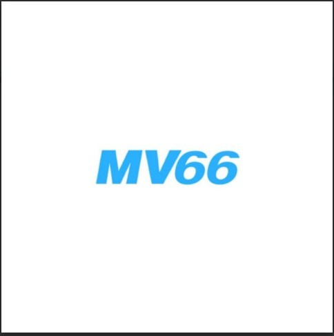 Mv66 boats Profile Picture