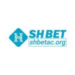SHBET  Cổng Game Cá Cược Profile Picture