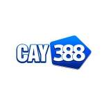 Nhà Cái CAY388 Profile Picture