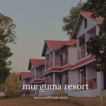 wildflower murgumaresort Profile Picture