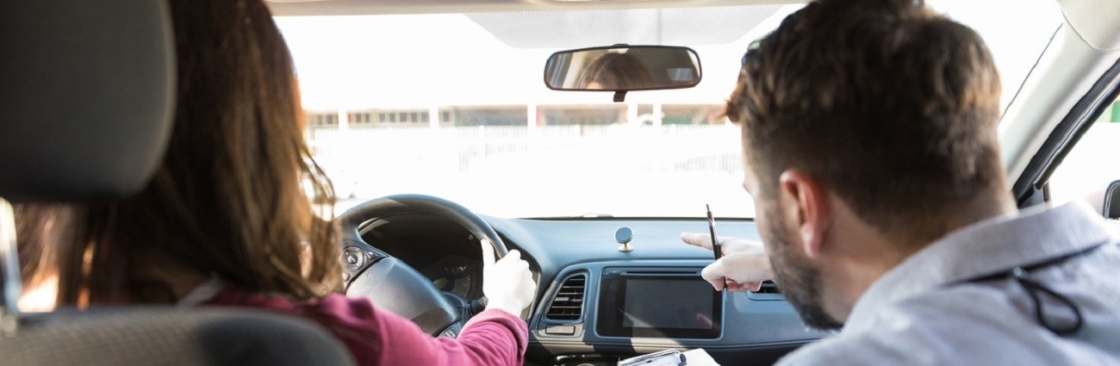 Shegi Driving School Cover Image
