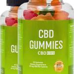 Basha yames Profile Picture