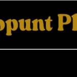 gopunt playid Profile Picture