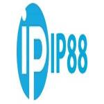 IP88 Profile Picture