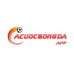 Cacuocbongda Profile Picture