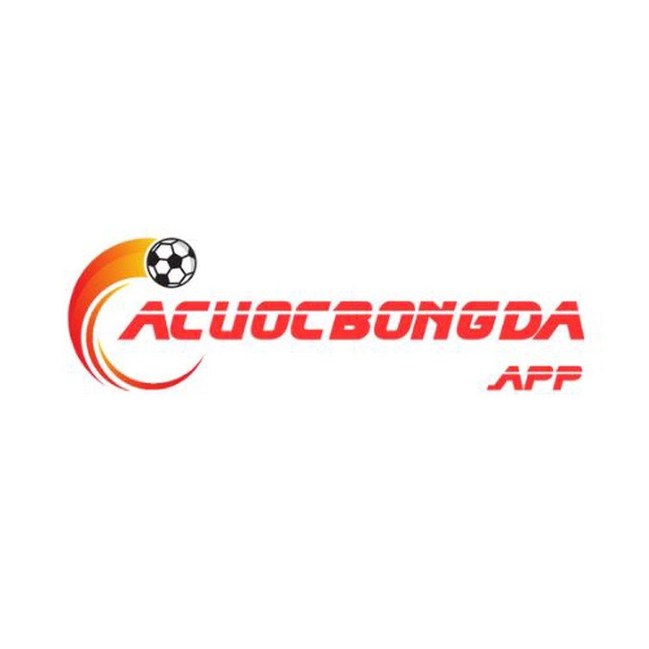Cacuocbongda Profile Picture