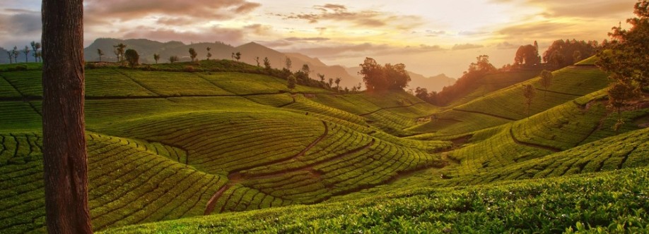 Chikkamagalur Karnataka Cover Image