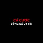 Cá Cược Bóng Đá Profile Picture
