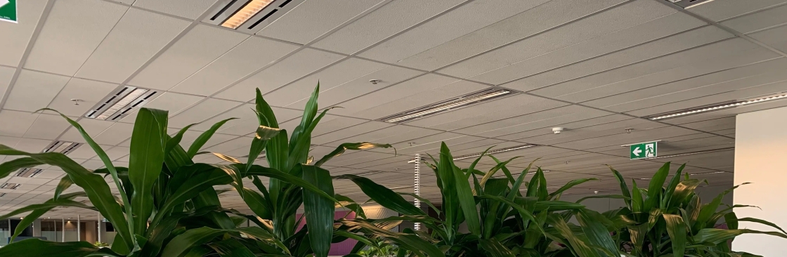 Foliage Indoor Plant Hire Cover Image