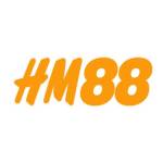 HM88 gbnet Profile Picture