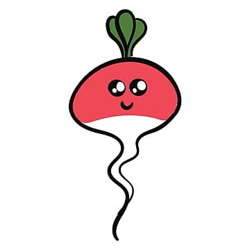 Macy Burke Profile Picture