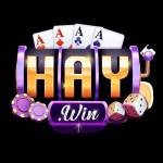 HAYWIN Profile Picture