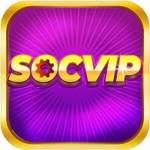 Socvip Profile Picture