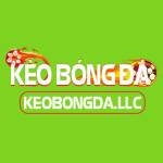 Kèo Bóng Đá Bóng Đá Profile Picture