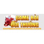 Gamebaidoithuong Haus Profile Picture