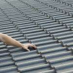 Grover Petersen Profile Picture