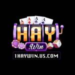 HAYWIN Profile Picture