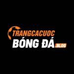 Trang Cá Cược Bóng Đá Uy Tín Profile Picture