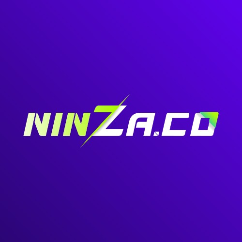 ninzaco ninZaco Profile Picture
