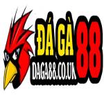 DAGA88 ĐÁ GÀ 88 TRỰC TIẾP ĐÁ GÀ THOMO HÔM NAY Profile Picture