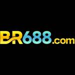 br688 Profile Picture