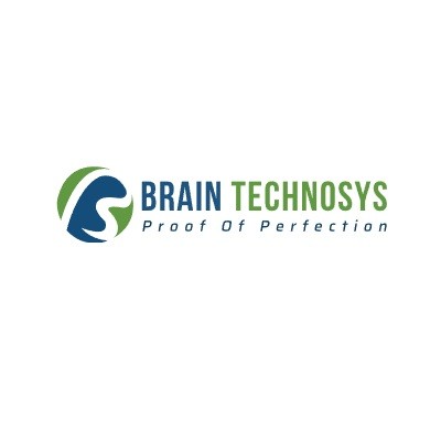 Brain Technosys Pvt Ltd Profile Picture