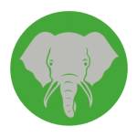 Elephant Trunk Profile Picture