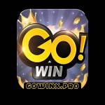 GoWin Profile Picture