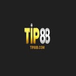 TIP88 Profile Picture